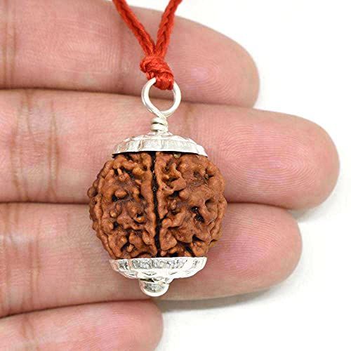 Brown Silver Rudraksha Pendant | 4 to 9mukhi