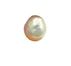 White Pearl (Moti) Rashi Ratan Gemstone For Men And Women | 5.25 Ratti - 11.25 Ratti